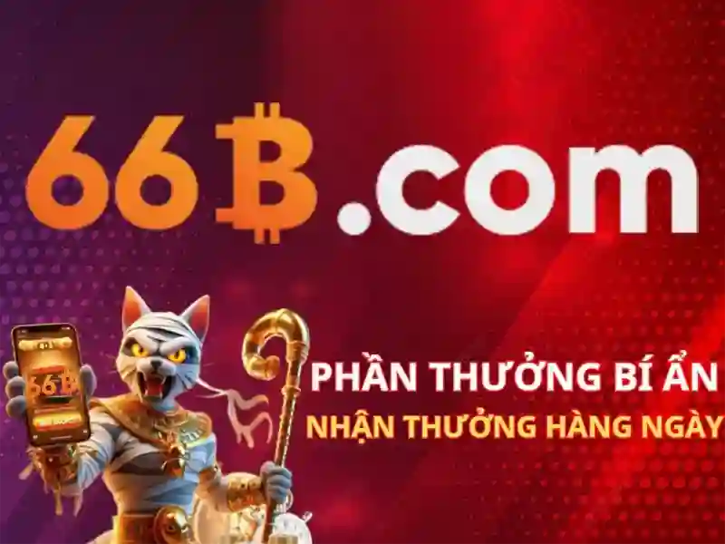 Trải nghiệm người dùng và phản hồi cộng đồng