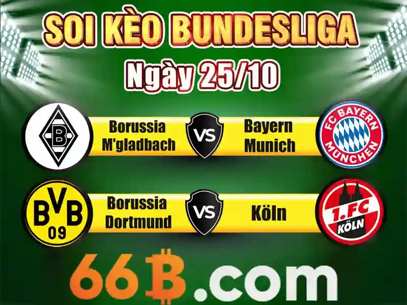 Nguồn gốc và sứ mệnh của Dublin bus 66b