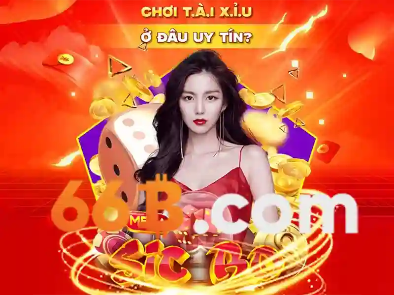 Kiến trúc và nếp hoạt động