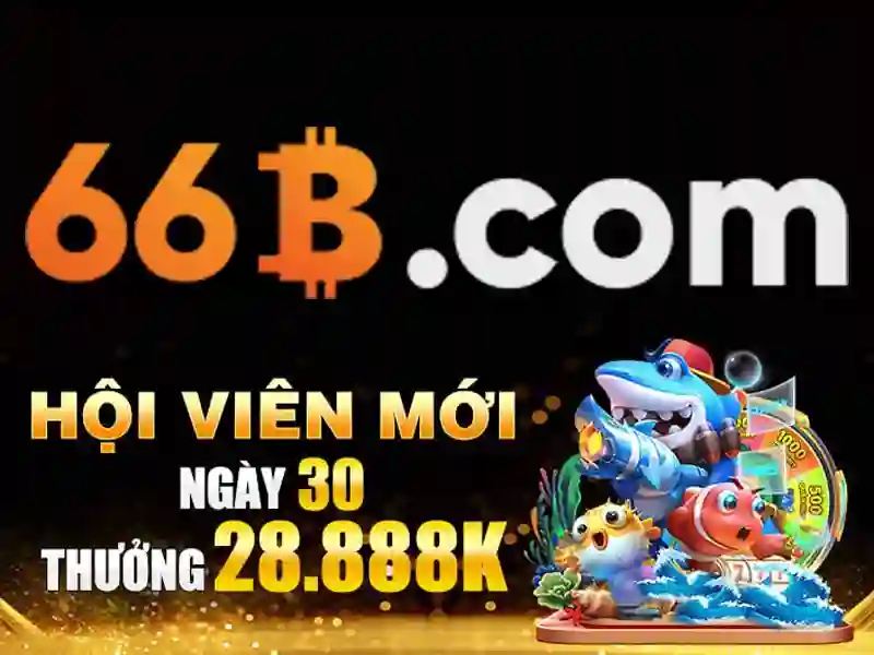 Giới thiệu về 66B