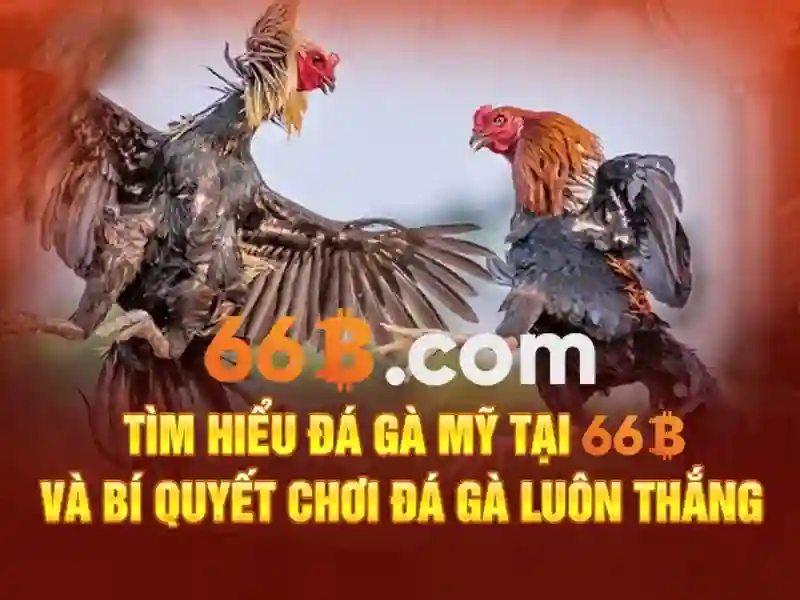 liên hệ 66b – Kết nối, công nghệ và trải nghiệm đỉnh cao