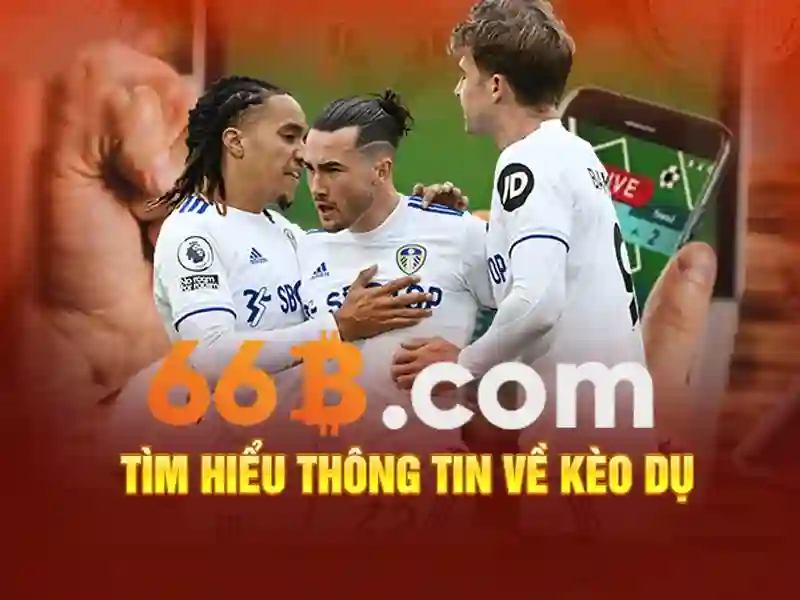 So sánh với các khái niệm liên quan\n