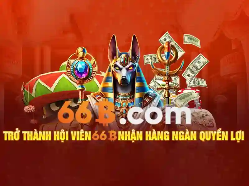 66B là gì? Một cái nhìn tổng quan
