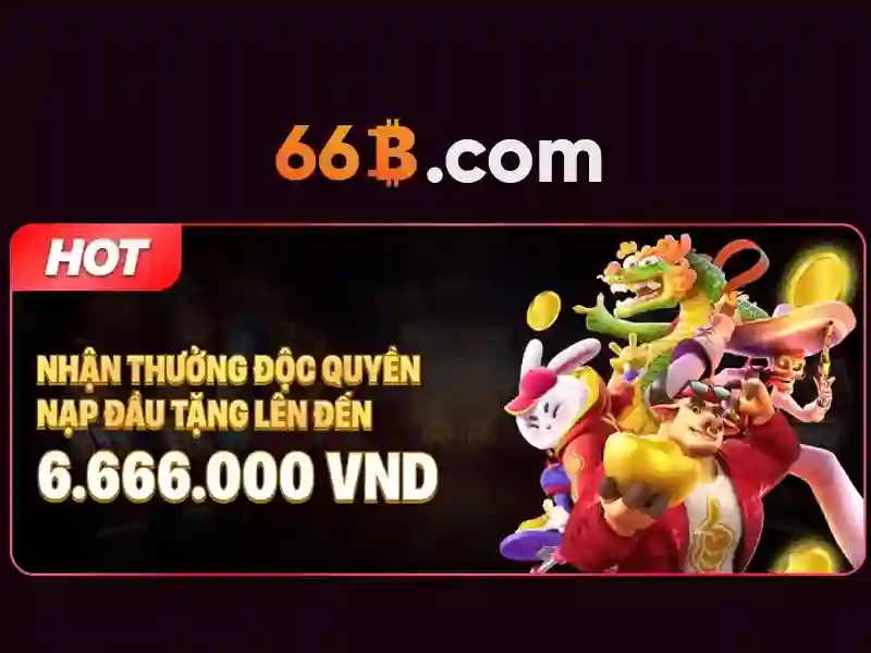66b là gì?\n