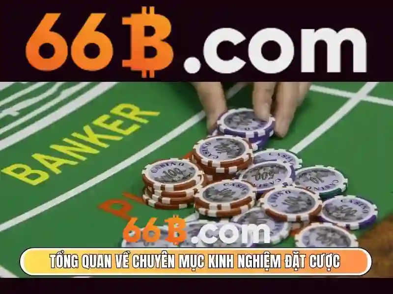 Kiến trúc và tham số