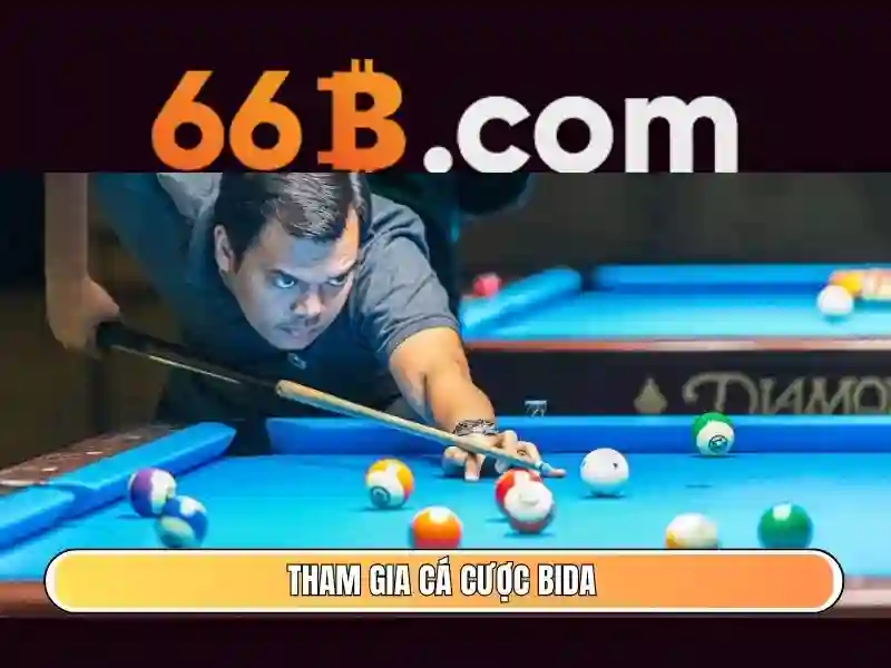 Mạng lưới và kiến trúc