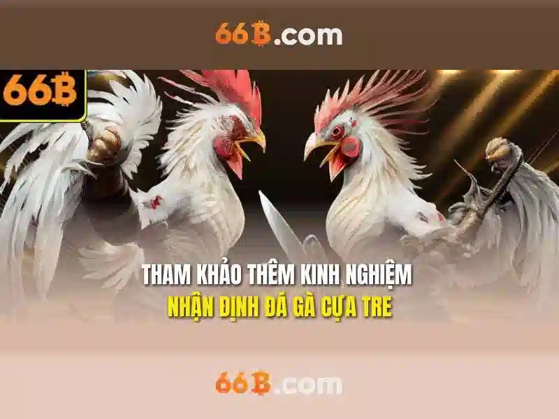 66b: Khai phóng một mô hình ngôn ngữ tiên tiến
