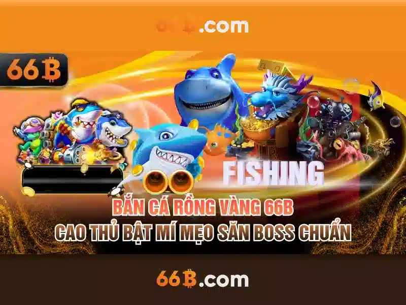 66B là gì và tại sao nó đáng chú ý