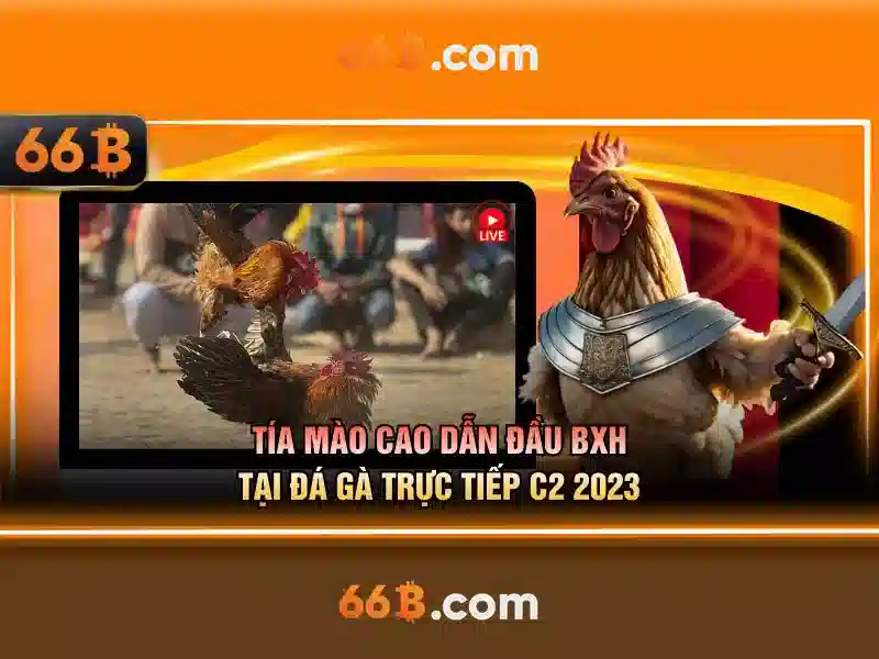 starrett 66b – Hành trình chất lượng và ứng dụng thực tế