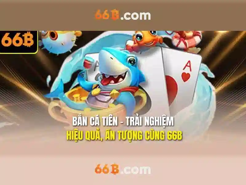 66B là gì