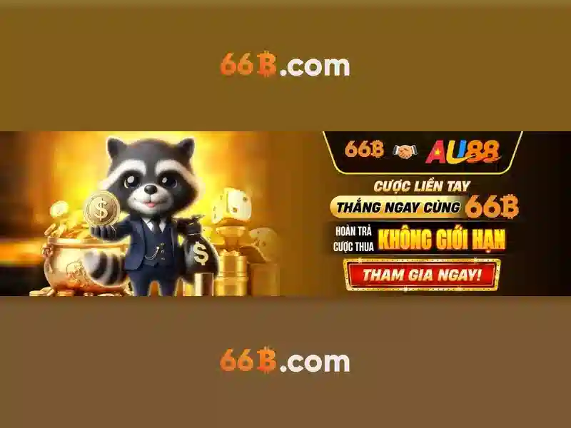 66b là gì?