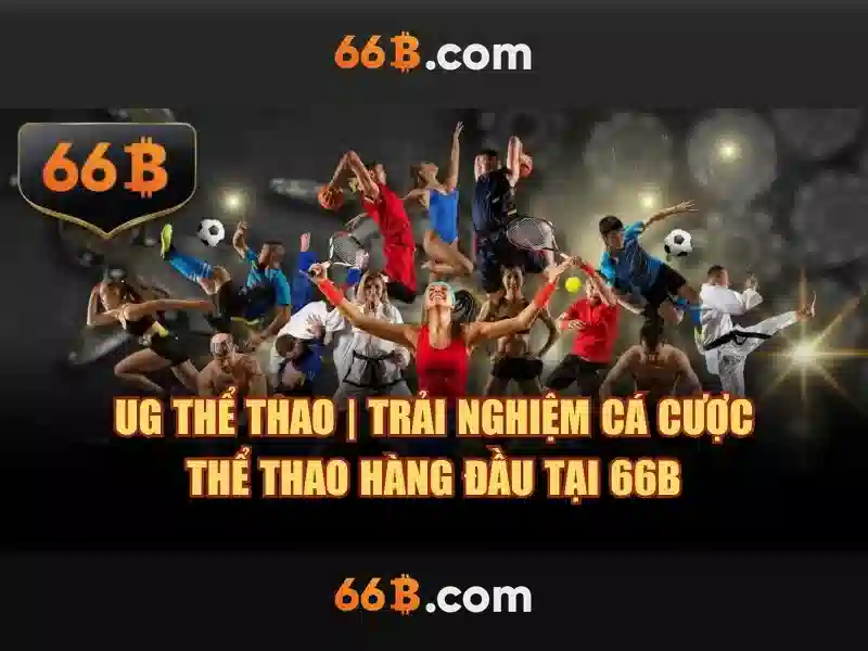 66B là gì?