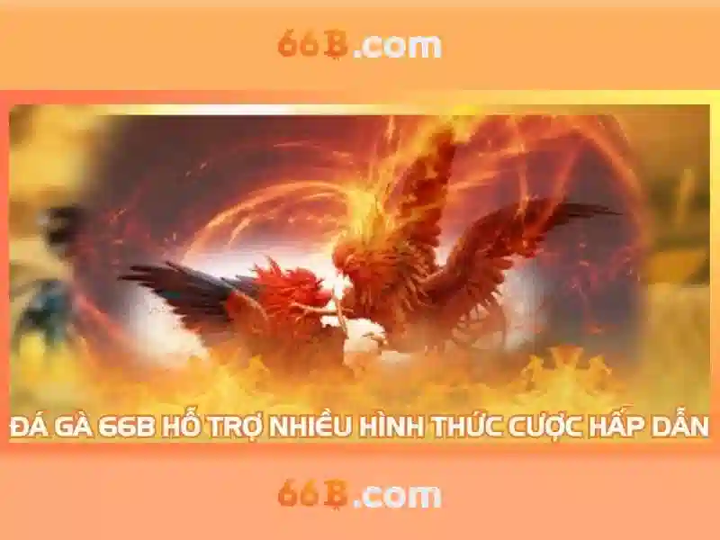 Khuyến mãi 66b: trải nghiệm đột phá và nhận thưởng