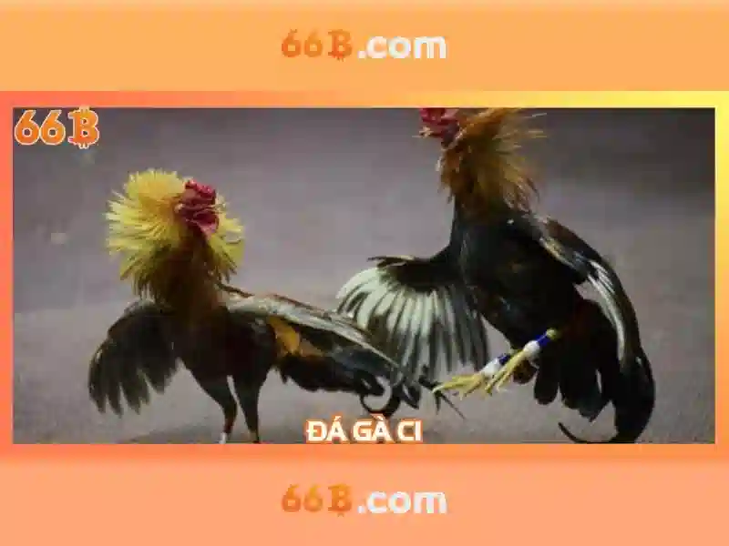 Khái niệm và nguồn gốc của 66B