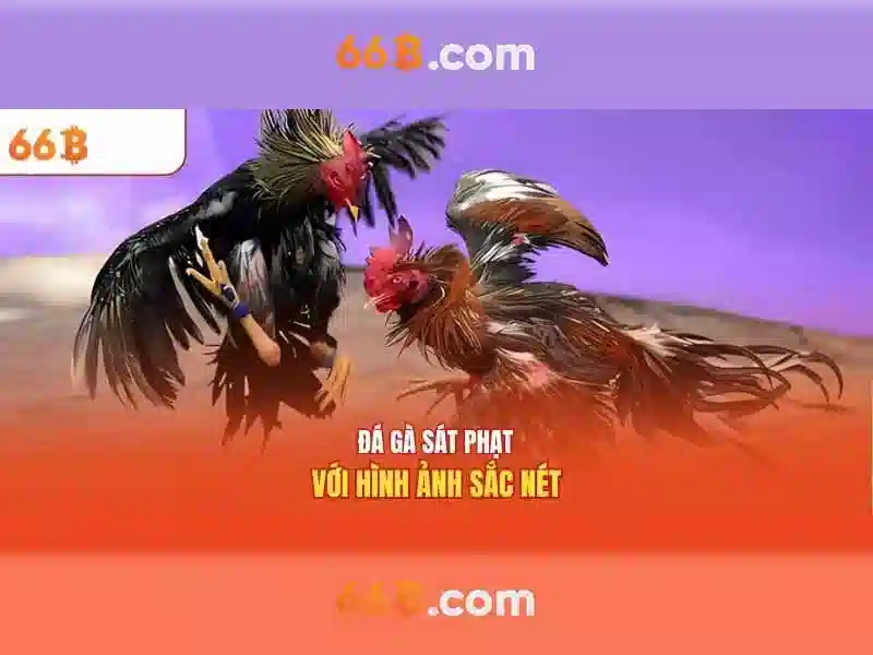 Cấu trúc và tham số
