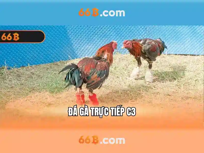 66b-licensing-fairness