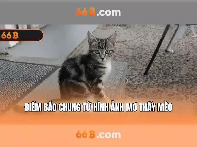 Khả năng và giới hạn của 66B