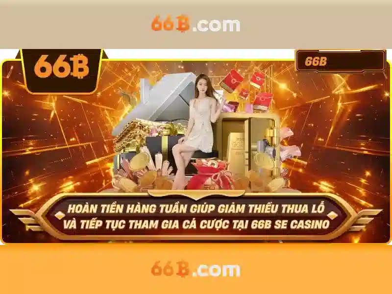 66b stgb: Định hình giá trị thương hiệu và ứng dụng