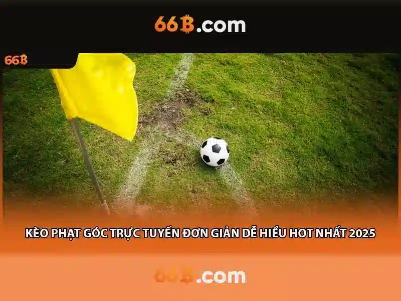 66b: Khái niệm và tác động trong công nghệ số