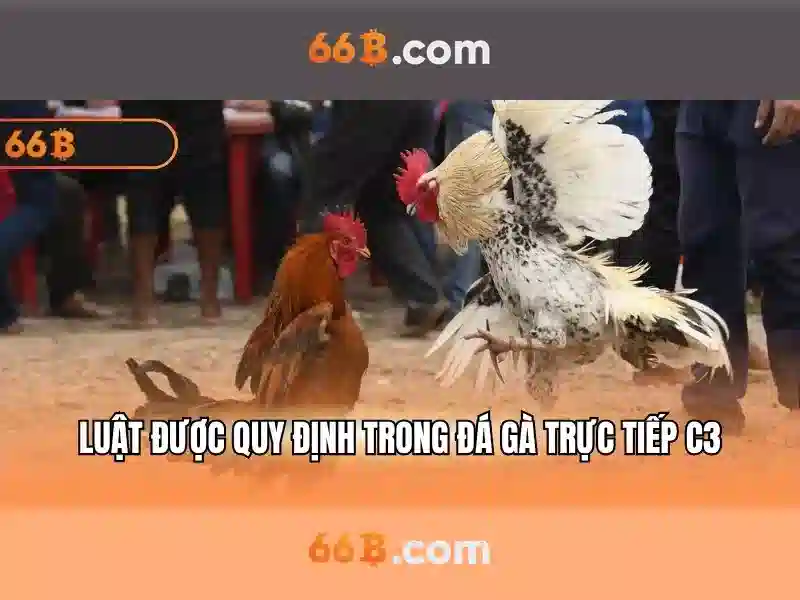 Khám phá ganghoferstraße 66b 80339 münchen: trải nghiệm và giá trị