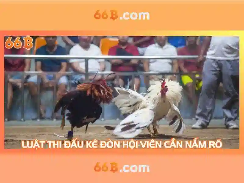 Kiến trúc căn bản của 66B