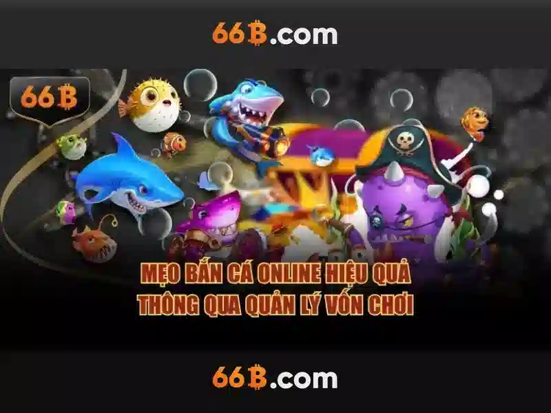 66b là gì?