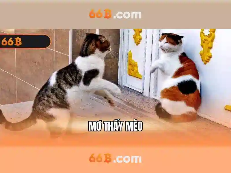 Quản lý dữ liệu và an toàn hệ thống