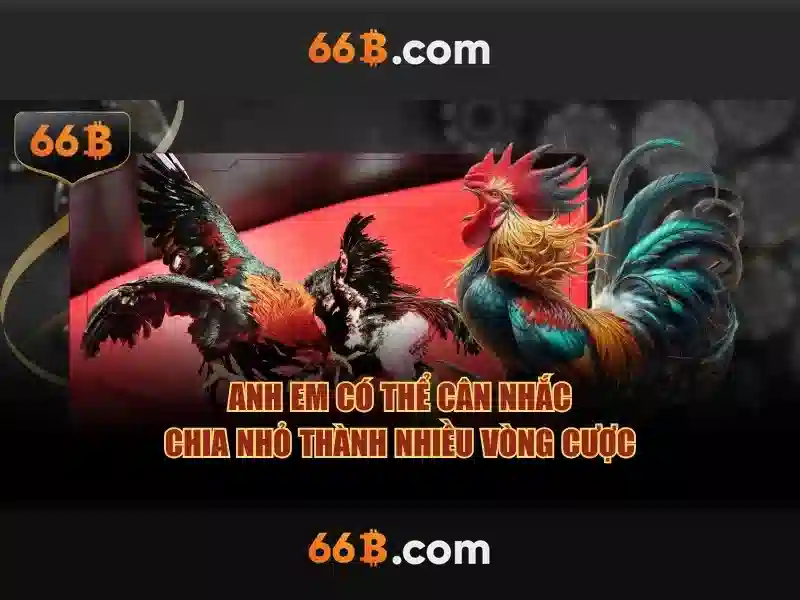 66B: Mô hình ngôn ngữ 66 tỷ tham số và những ảnh hưởng của nó