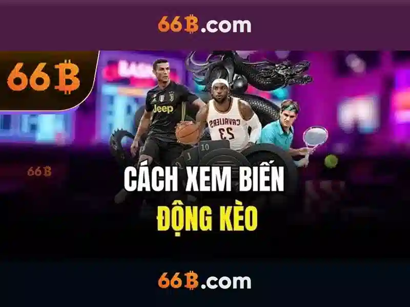 66b là gì và vì sao nó gây chú ý