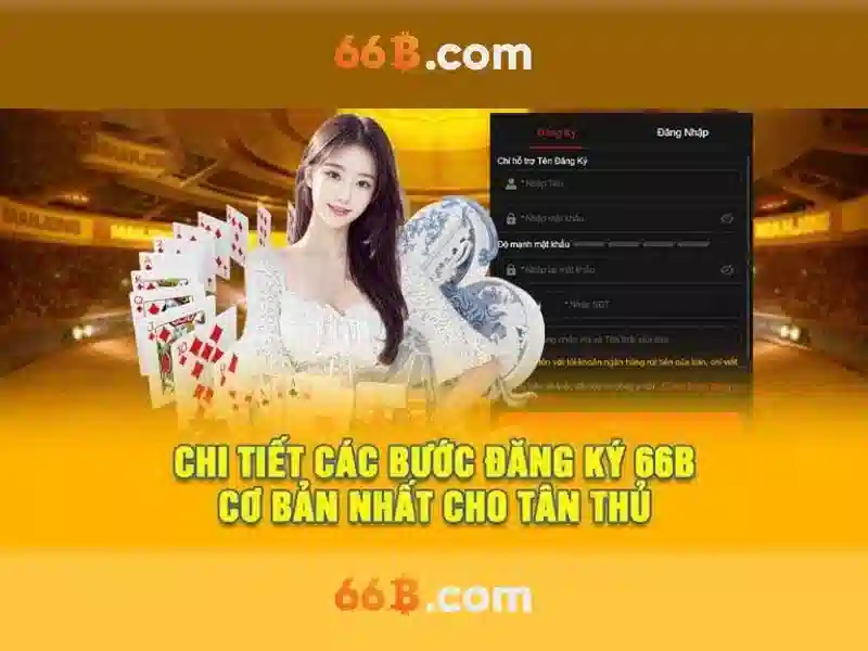 66B là gì?\n