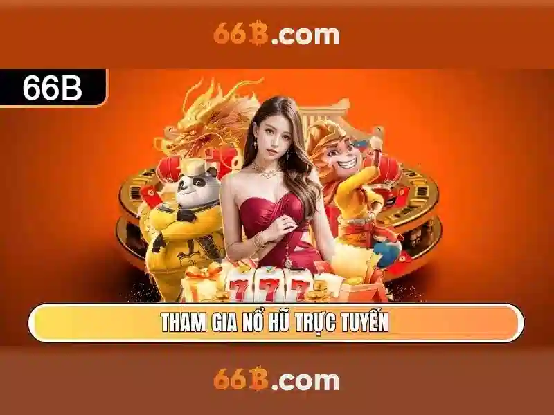 66B là gì? Một cái nhìn tổng quan