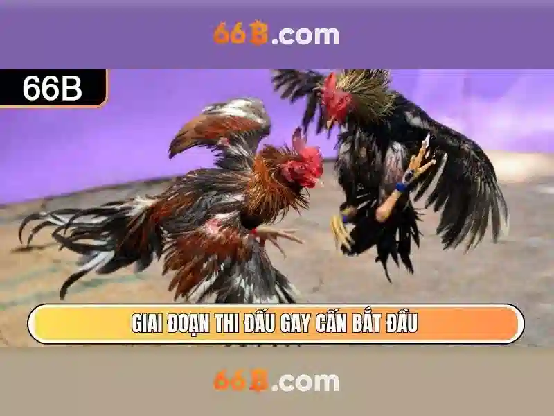 Kiến trúc và tham số\n