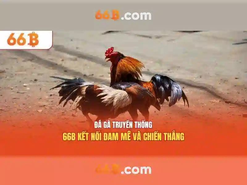 66b: Khám phá ý nghĩa và ứng dụng