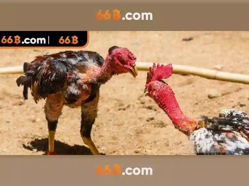 66b: Khái niệm, kiến trúc và tiềm năng của mô hình ngôn ngữ 66 tỷ tham số