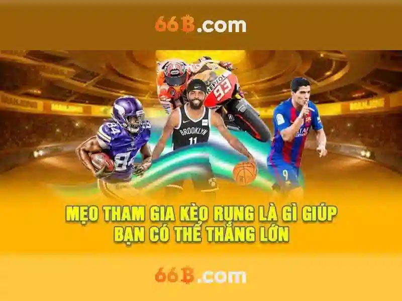 Cac dac diem cua 66B