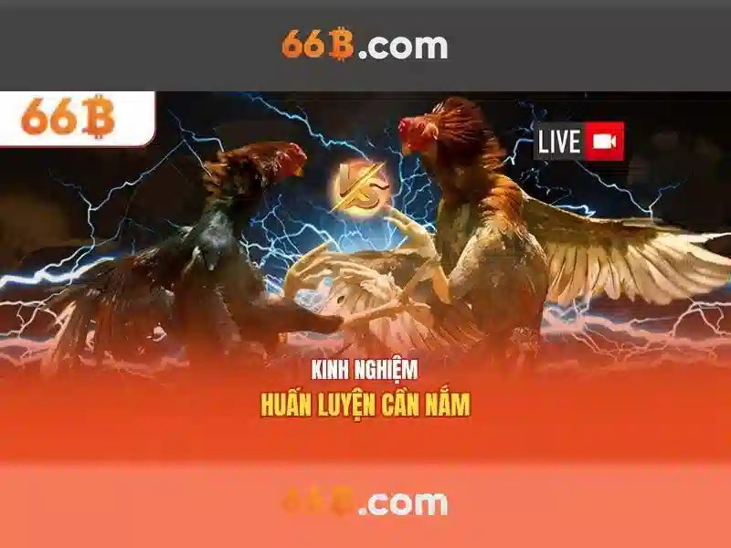 66b: Khái niệm, cơ chế và ứng dụng