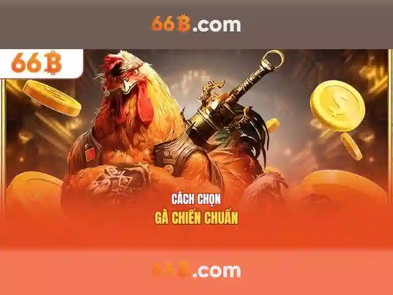 Khái niệm cơ bản về 66B
