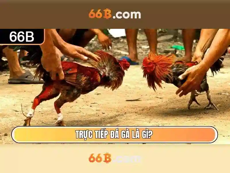 66b: Mô hình AI quy mô lớn với 66 tỷ tham số