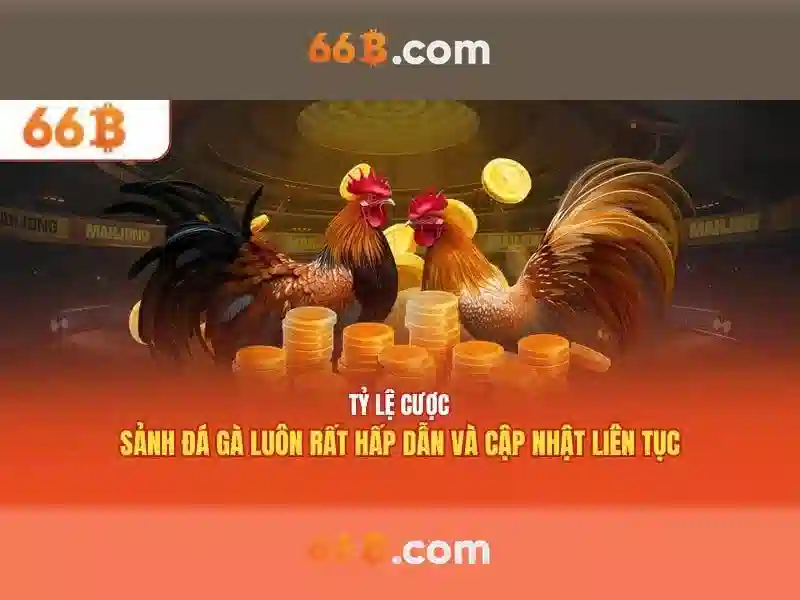 Kiến trúc và thành phần của 66b