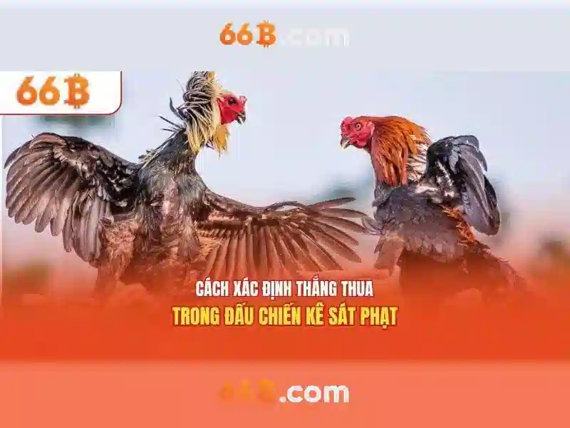 Ứng dụng và công nghệ liên quan