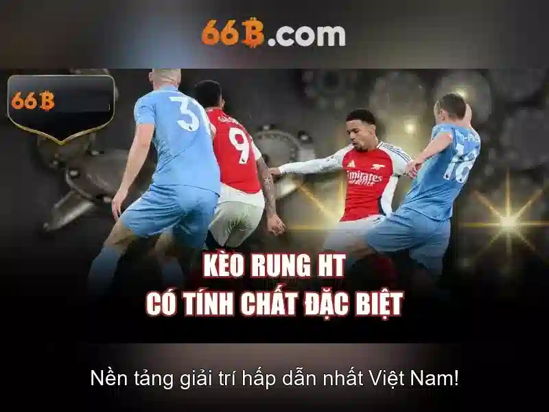 66B là gì và ý nghĩa của kích thước tham số