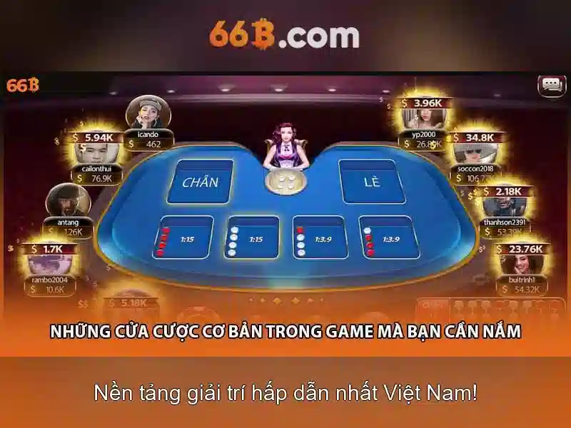 Khái niệm 66B