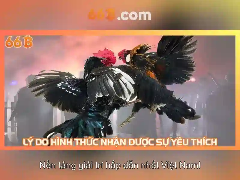 So sánh với các kích thước mô hình khác