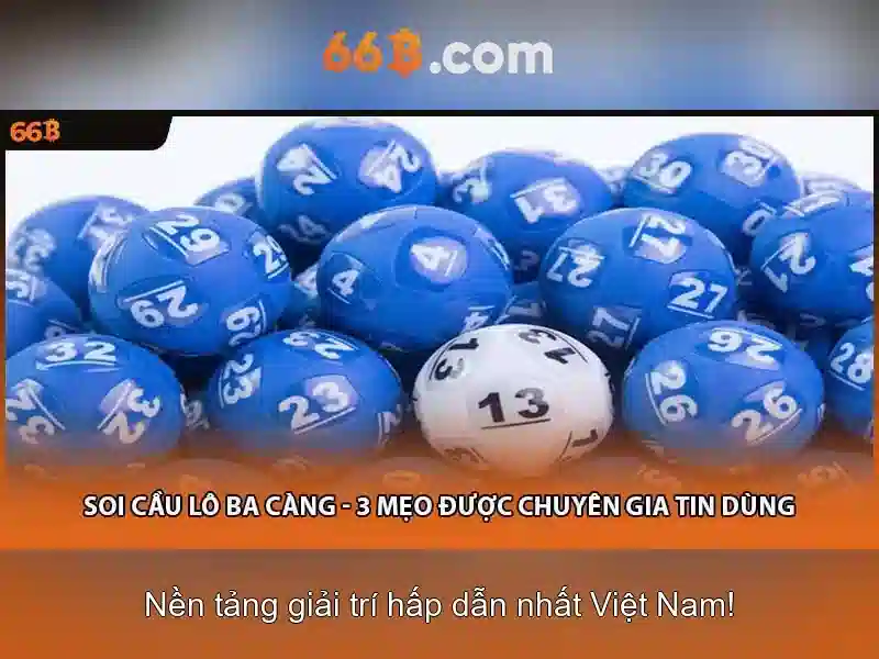 Trải nghiệm người dùng và phản hồi
