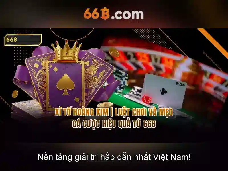 66b: Khái niệm, ứng dụng và tác động