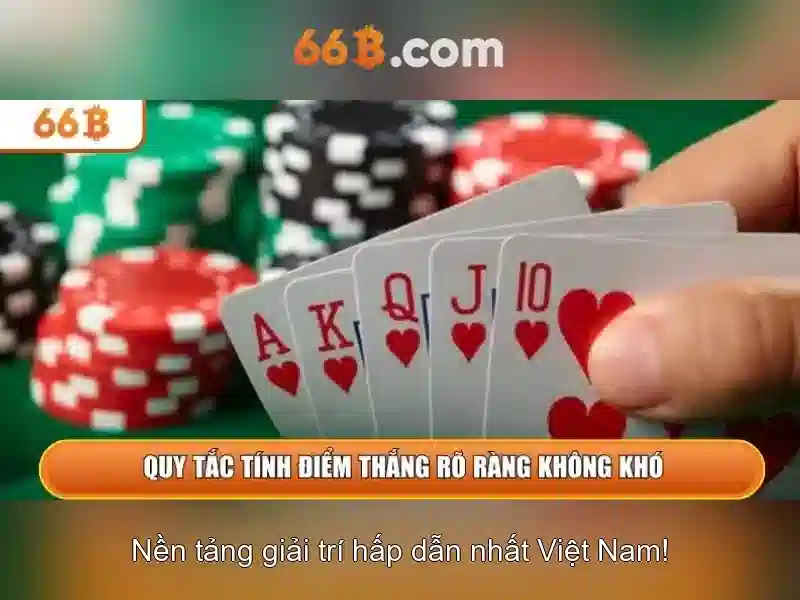 Sản phẩm và dịch vụ cốt lõi của 66b nguyễn sĩ sách phường 15 tân bình