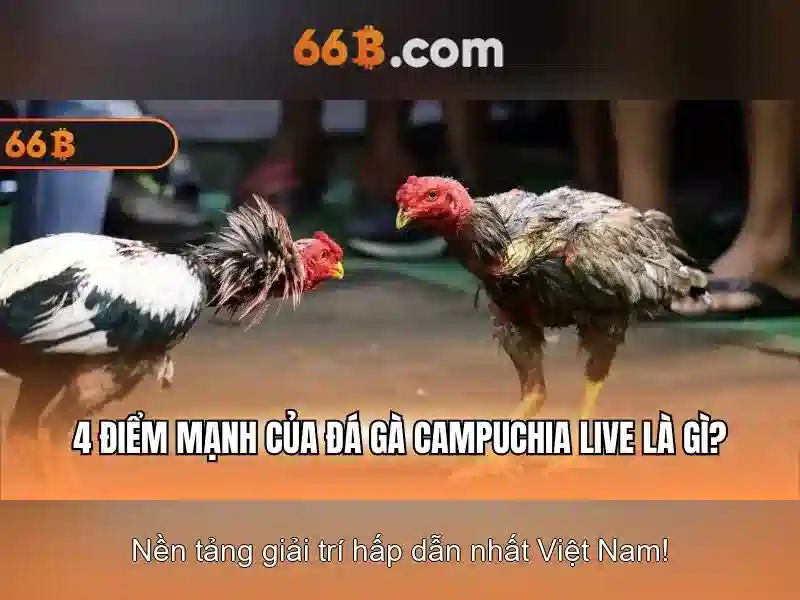 66B: Khái niệm, đặc điểm và ứng dụng