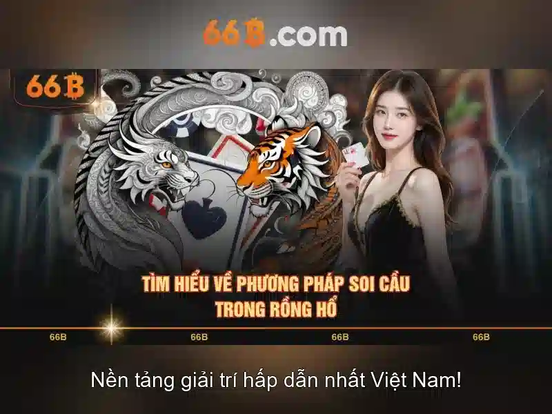 66B: Khía cạnh và tác động