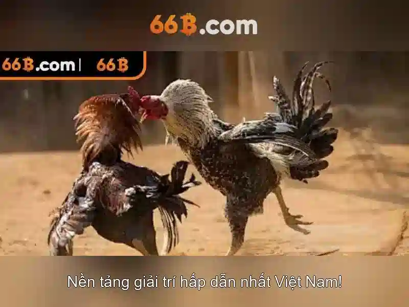 66b và công nghệ tiên tiến
