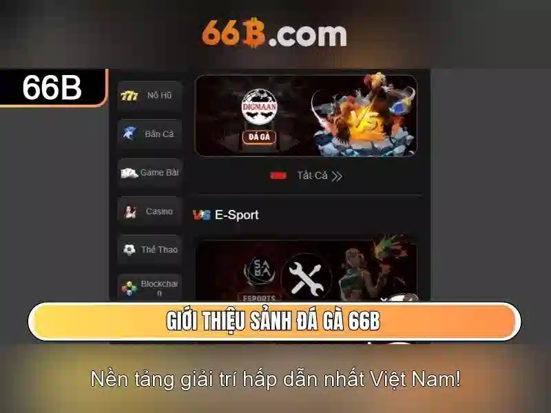 Nguồn gốc và ý nghĩa\n